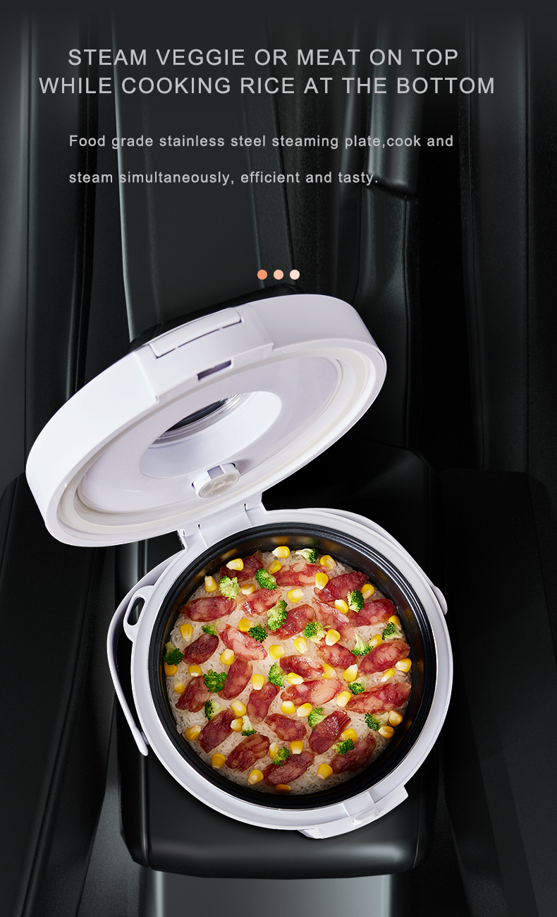 24V Rice Cooker  Truck Soup St - Camping No Cooking Meals reseña y precio