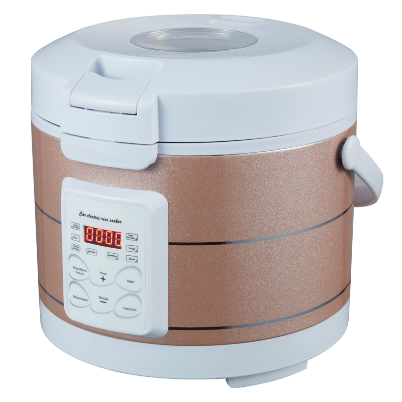 Rmier 12V 24V 220V Mini Rice C - Camping No Cooking Meals reseña y precio