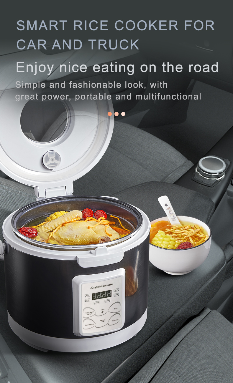 Rmier 12V 24V 220V Mini Rice C - Camping No Cooking Meals reseña y precio