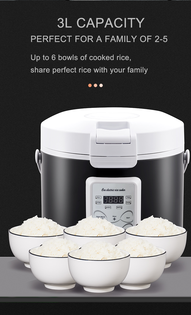 Rmier 12V 24V 220V Mini Rice C - Camping No Cooking Meals reseña y precio
